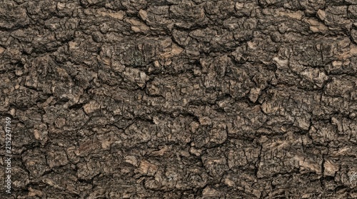 Natural Tree Bark Texture Surface Background