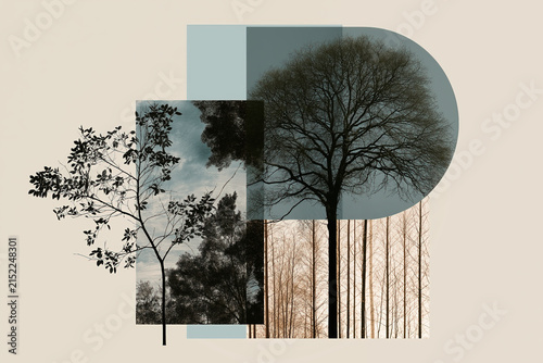 artistic collage of nature elements and geometric shapes on neutral background, trees, forest, 