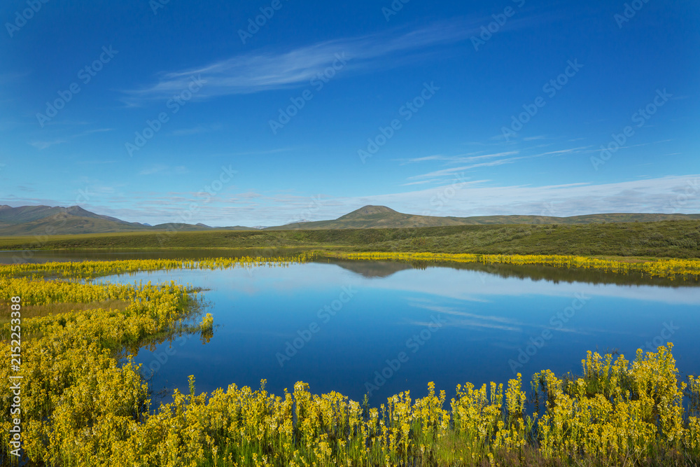 Obraz premium Lake in tundra