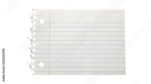 Torn white lined notebook paper sheet with blue lines and binder holes for school and office journaling.
