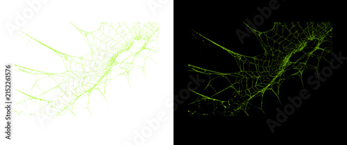 Green spiderweb texture on black and white backgrounds, spooky halloween cobweb elements, abstract organic network design