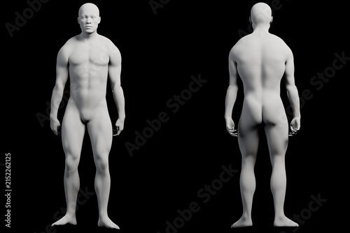 3D mannequin figure standing idle front and back views