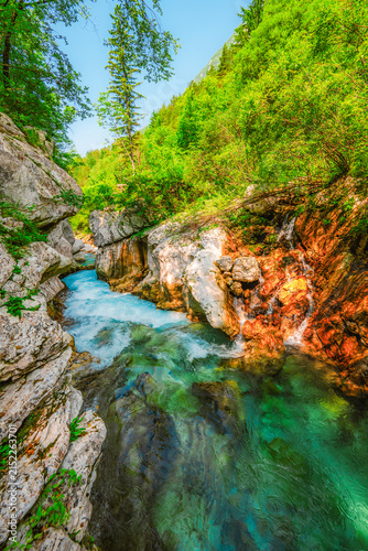 Quadro su tela Velika Korita or Great canyon of Soca river near Bovec in Slovenia