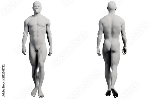 3D rendered male figure model front-back studio shot