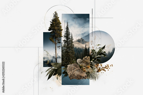 artistic collage of nature elements and geometric shapes on neutral background, trees, forest, 