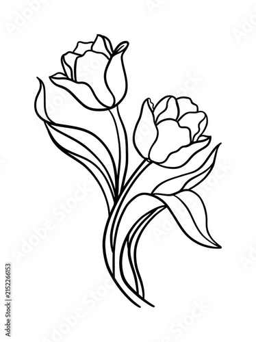 Black and white line drawing of two tulips with leaves