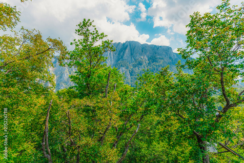 Canvas Print The ancient primeval forest of Perucica with the majestic Skakavac waterfall, one of the last remaining rainforests in Europe, Sutjeska National Park