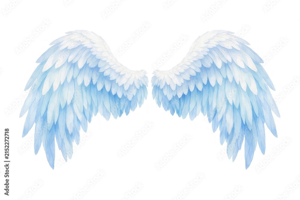 Obraz premium Illustration of large, detailed white and blue angel wings on white.