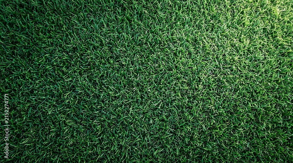 Obraz premium Green grass lawn texture background macro view for gardening website landing page banner and summer nature landscape.