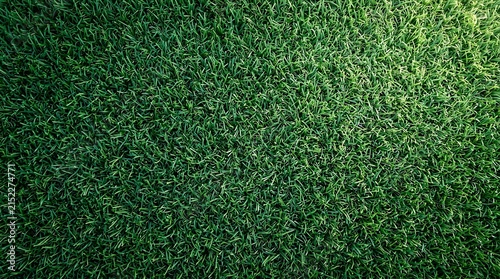 Green grass lawn texture background macro view for gardening website landing page banner and summer nature landscape.