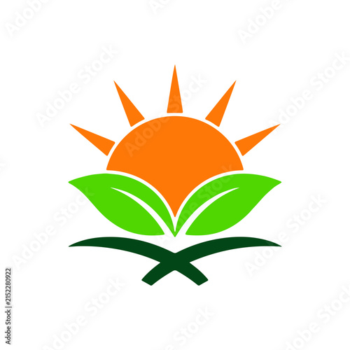 Orange sun over green leaves