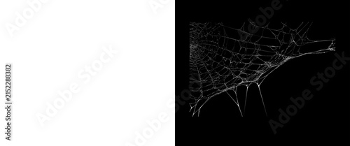 Obraz na płótnie Spooky spider web on black background, creepy cobweb texture for Halloween desig