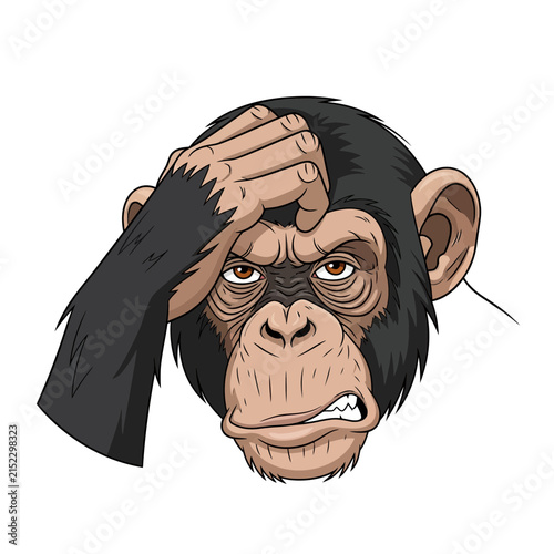 Chimpanzee Monkey Scratching Head Thinking Confused Isolated Vector Illustration