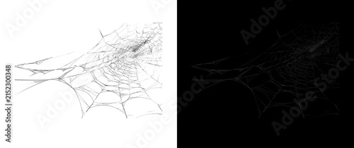 Fotografía Spooky spider web overlay set, creepy cobweb textures on black and white backgro