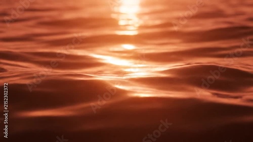 Golden sunlight reflects on the gentle ripples of dark water