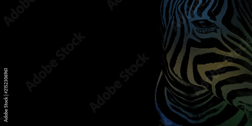 Stylized zebra portrait with colorful gradient stripes on solid black background cutout.