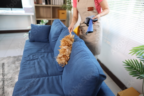 Принти на полотні Woman cleaning sofa with feather duster at home.