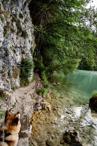Idyllic Weissensee landscape in Füssen, Allgäu, Bavaria