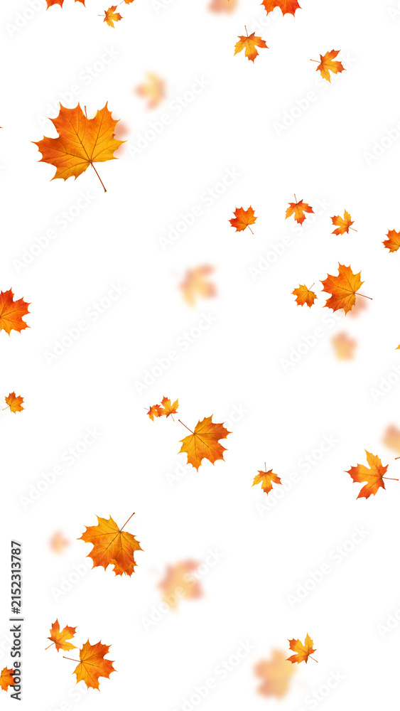 Naklejka premium colorful autumn leaves pattern isolated on transparent background,png leaf thanksgiving and Halloween celebration stream overlay vertical social media design element