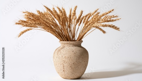 Rustic Ceramic Vase Filled with Golden Wheat Stalks on White Background.
