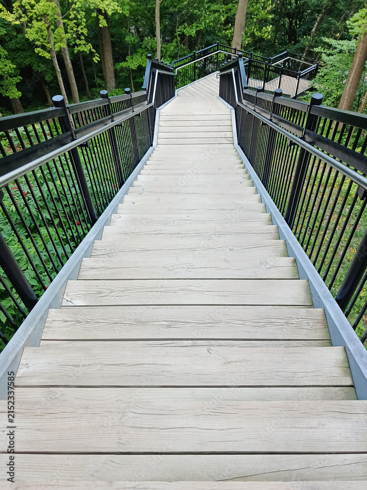 Fototapeta premium Long wooden staircase in a natural setting. Perspective view of a wooden staircase with steps and railing in a Quebec park. Hiking and outdoor activities.