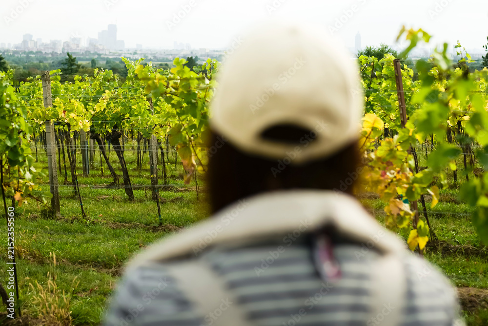 Fototapeta premium Person wearing a cap looking at a vineyard and city skyline, illustrating seasonal change across alpine viticulture landscapes.