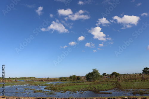 Scenic rural wetland and agricultural landscapes featuring shallow floodwater, green grasslands, open fields, dirt roads, palm trees and expansive blue skies. The images capture peaceful countryside