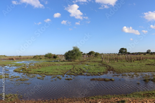 Scenic rural wetland and agricultural landscapes featuring shallow floodwater, green grasslands, open fields, dirt roads, palm trees and expansive blue skies. The images capture peaceful countryside