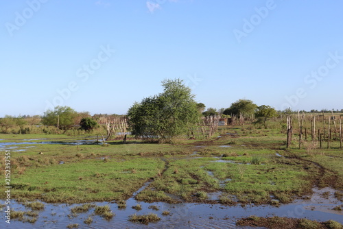 Scenic rural wetland and agricultural landscapes featuring shallow floodwater, green grasslands, open fields, dirt roads, palm trees and expansive blue skies. The images capture peaceful countryside