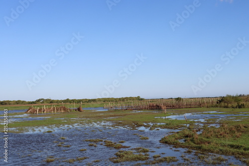 Scenic rural wetland and agricultural landscapes featuring shallow floodwater, green grasslands, open fields, dirt roads, palm trees and expansive blue skies. The images capture peaceful countryside