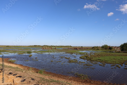 Scenic rural wetland and agricultural landscapes featuring shallow floodwater, green grasslands, open fields, dirt roads, palm trees and expansive blue skies. The images capture peaceful countryside