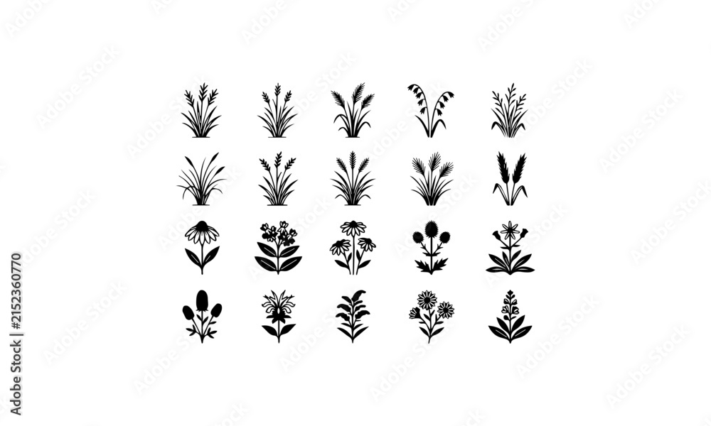 Fototapeta premium Wildflower Cattail Wild Grass Plant Silhouette Icons Set Vector Illustration