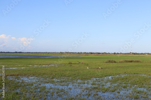Scenic rural wetland and agricultural landscapes featuring shallow floodwater, green grasslands, open fields, dirt roads, palm trees and expansive blue skies. The images capture peaceful countryside