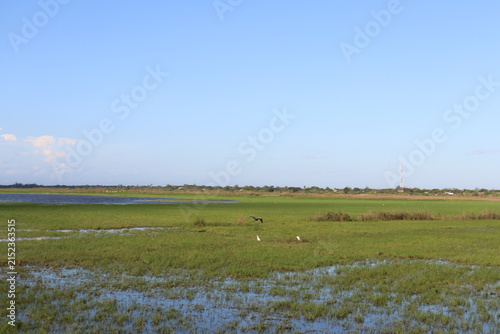 Scenic rural wetland and agricultural landscapes featuring shallow floodwater, green grasslands, open fields, dirt roads, palm trees and expansive blue skies. The images capture peaceful countryside