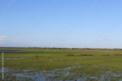 Scenic rural wetland and agricultural landscapes featuring shallow floodwater, green grasslands, open fields, dirt roads, palm trees and expansive blue skies. The images capture peaceful countryside