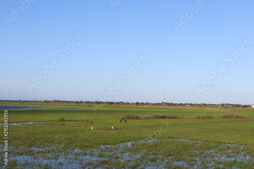 Scenic rural wetland and agricultural landscapes featuring shallow floodwater, green grasslands, open fields, dirt roads, palm trees and expansive blue skies. The images capture peaceful countryside