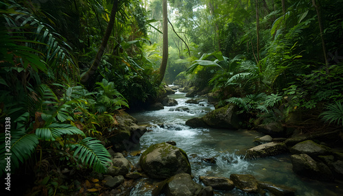 Clear Mountain Stream Flowing Through a Dense Tropical Rainforest With Lush Green Vegetation