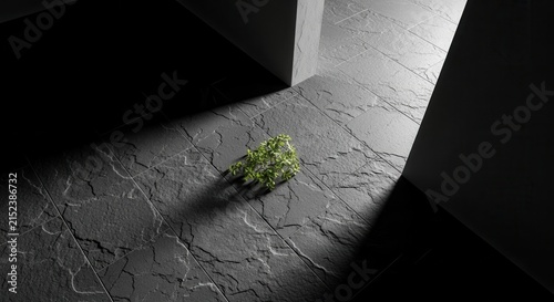 Fragile Growth In Stark Modernist Architecture