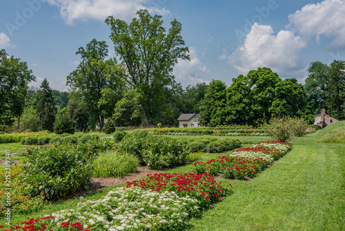 Hampton Estate Garden 12