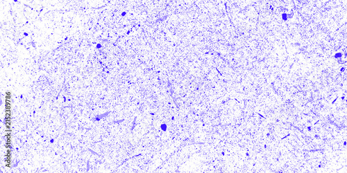 Microscopic view of purple stained biological cells on a laboratory glass slide background.