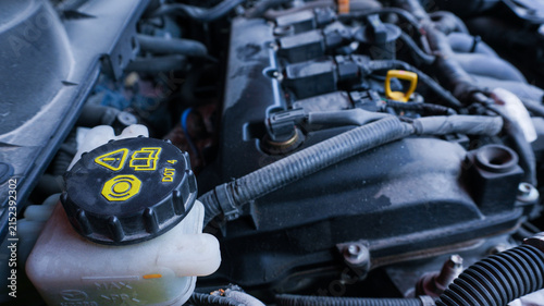 Close Up of Car Engine Components and Wiring Under the Hood