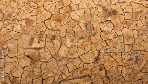 Natural Cracked Dry Earth Surface with Irregular Organic Patterns and Warm Sandy Brown Tones, Arid Landscape Texture