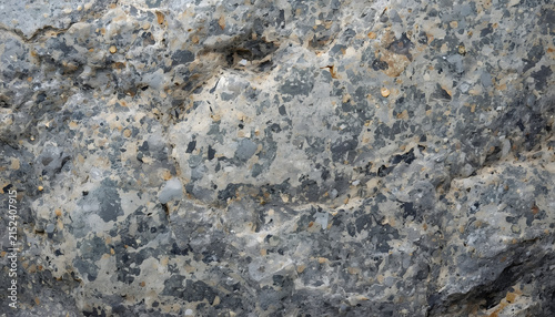 Natural Gray Granite Stone Texture