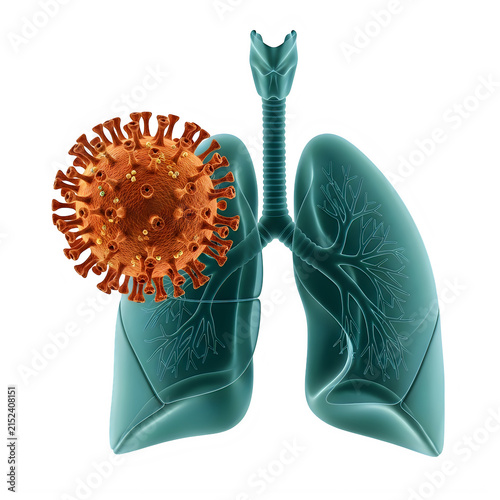 Human lungs infected with a virus cell isolated on white