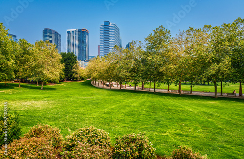 Park Grass And Trees