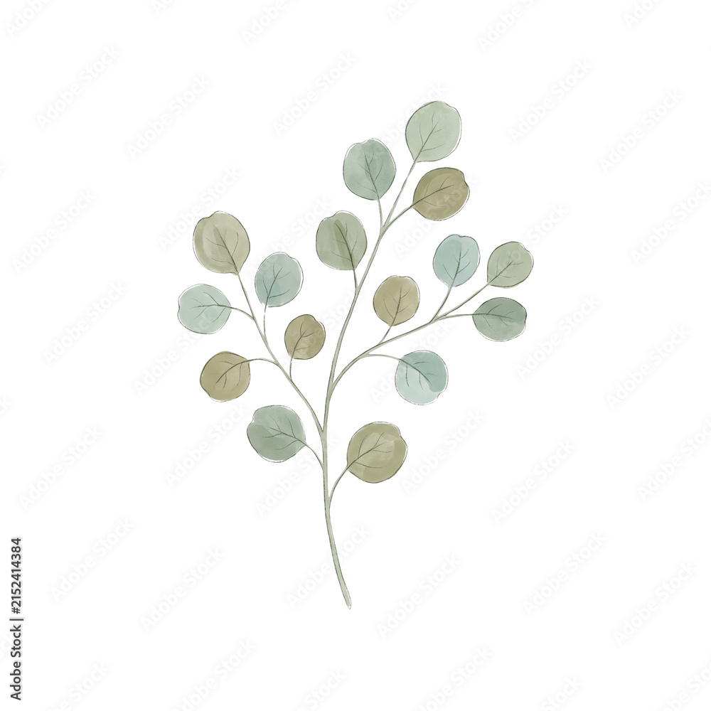 Obraz premium Minimalist Watercolor Branch with Round Leaves