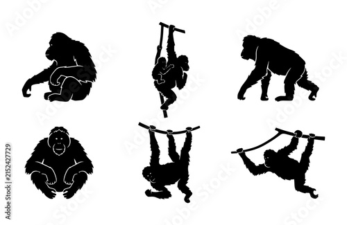 Photography Gorilla Silhouettes, Primate Poses, Jungle Wildlife Vector Icons, Ape Collection