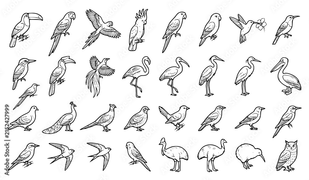 Obraz premium Tropical and exotic birds line art vector icons set isolated on white background