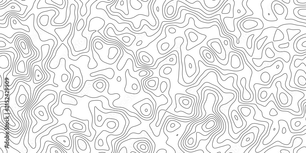 Fototapeta premium Modern abstract abstract contour terrain background, geographic mapping lines with smooth organic curves, for card, label and packaging design.