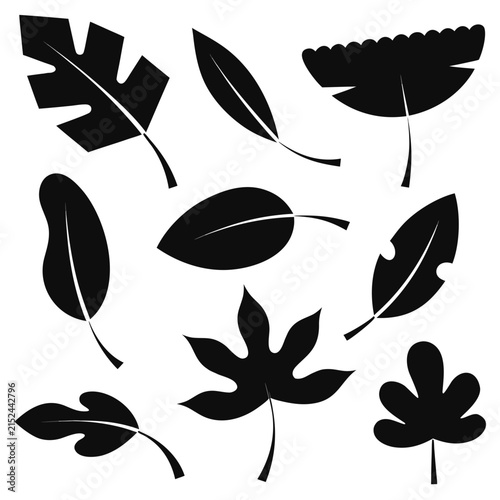set of black and white leaves